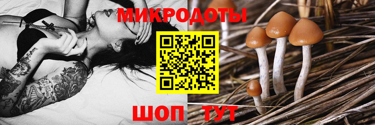 дарнет шоп  Вход с VPN  Кубинка  Галлюциногенные грибы мухоморы 